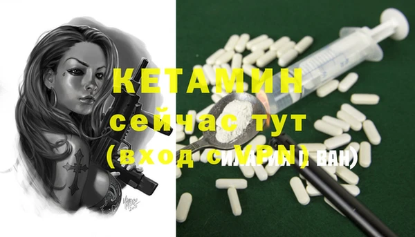 СК Болотное
