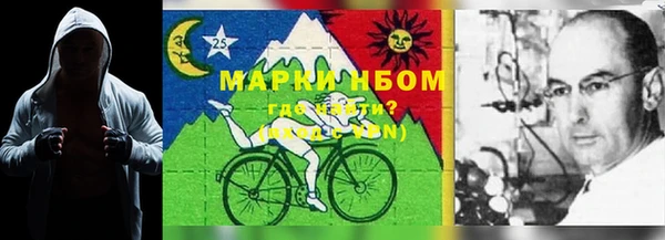 ПСИЛОЦИБИНОВЫЕ ГРИБЫ Осташков