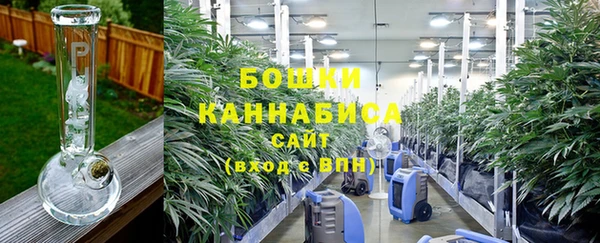 ПСИЛОЦИБИНОВЫЕ ГРИБЫ Осташков