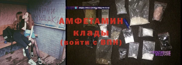 ПСИЛОЦИБИНОВЫЕ ГРИБЫ Осташков