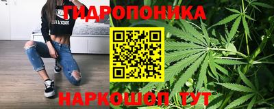 ПСИЛОЦИБИНОВЫЕ ГРИБЫ Заволжье