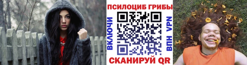 hydra как войти  Ногинск  Галлюциногенные грибы GOLDEN TEACHER 