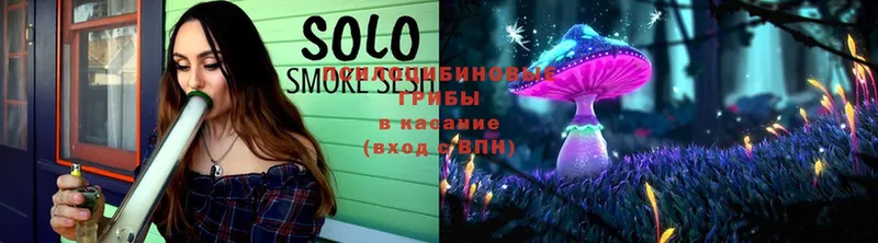 Псилоцибиновые грибы прущие грибы  Ногинск 