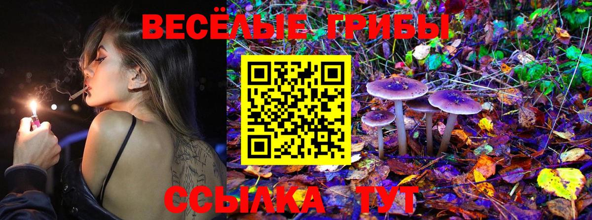 Галлюциногенные грибы Cubensis Ногинск