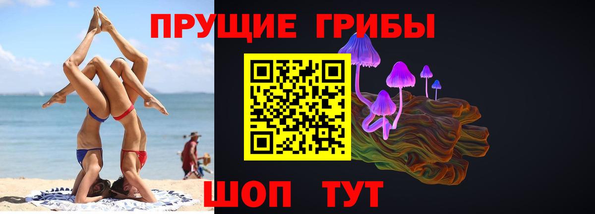 Галлюциногенные грибы Magic Shrooms  Псилоцибиновые грибы GOLDEN TEACHER  Ногинск 