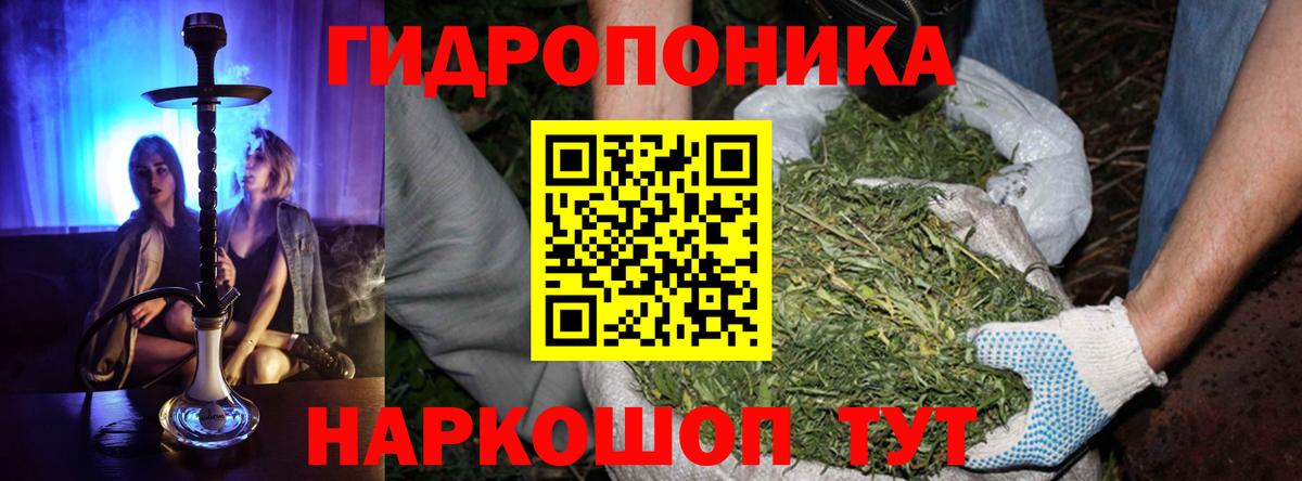 Конопля VHQ  Бошки марихуана Ganja  Ногинск  Бошки марихуана тримм  Вход с VPN 