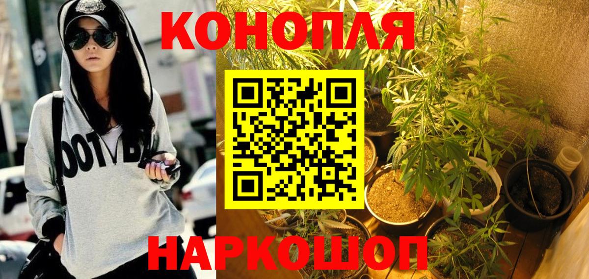 Бошки марихуана OG Kush Ногинск